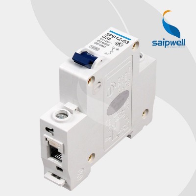 SAIP/SAIPWELL 1 Poles 10KA Thermal Circuit Breaker NC100 For Overload Protection